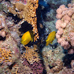 PB231918-t.JPG