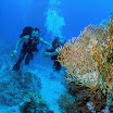 PB231950-t.JPG