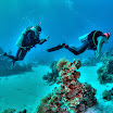 PB242033-t.JPG