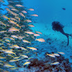 PB242054-t.JPG