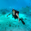 PB242057-t.JPG