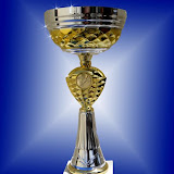 Trofeus de l'equip femení de futbol
