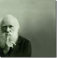 darwin-bg darwin-bg