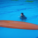 PA100028.jpg