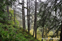 _DSC5372.jpg Photo _DSC5372.jpg Photo