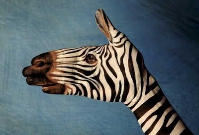 [hand_painting_art_43[6].jpg]