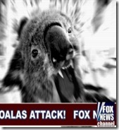 bear attack