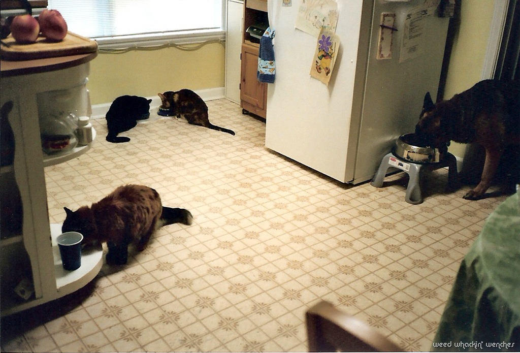 [eatingx4take23.jpg]