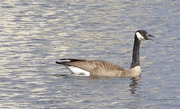 [P1010488del4.jpg]