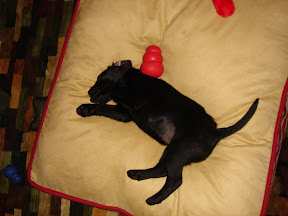 10052007 020.JPG