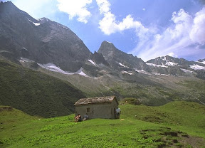 050.jpg