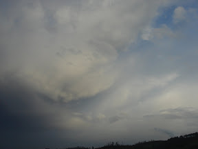 DSC01418.JPG