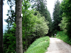 DSC00975 - Passo Nigra.JPG