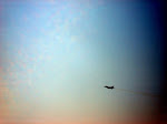 DSC04224.JPG