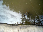 DSC05065.JPG
