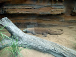 DSC05089.JPG