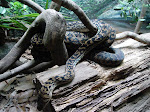 DSC05144.JPG