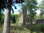 DSC02717.JPG
