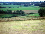 DSC02814.JPG