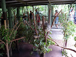DSC05028.JPG