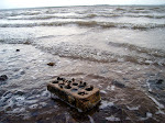 DSC05406.JPG