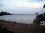 DSC05445.JPG