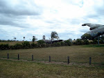 DSC05937.JPG