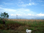 DSC03425.JPG