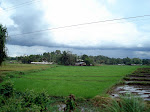 DSC03682.JPG