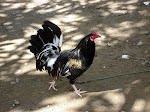 DSC03565.JPG