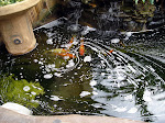 DSC03770.JPG