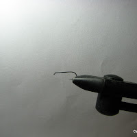 1. ac daichi D21 barbless IMG_4773.JPG