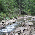IMG_0987.jpg