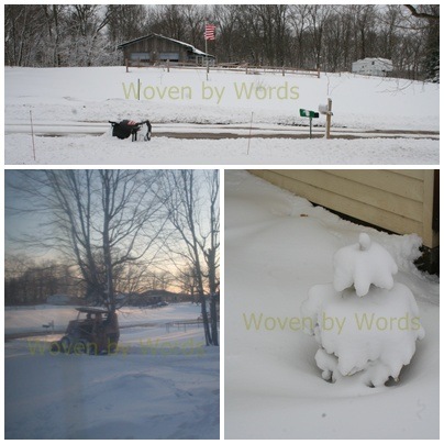 [More Winter Photos[7].jpg]