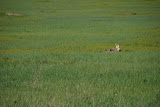 DSC_0158.JPG