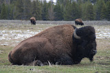 DSC_0406.JPG