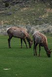 DSC_0663.JPG