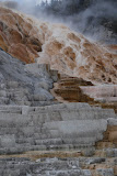 DSC_0853.JPG