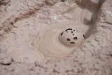 DSC_0101.JPG