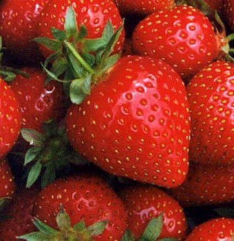 [red strawberry[8].jpg]