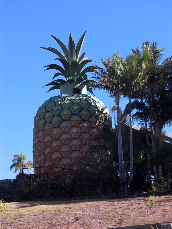 the-big-pineapple.jpg