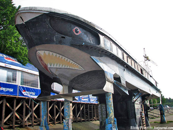 Shark-house.jpg