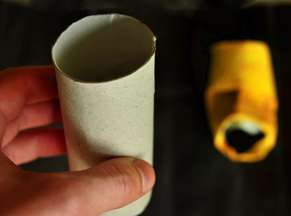Toilet Paper Tube