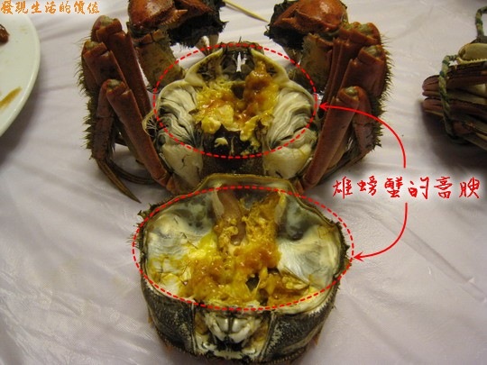 [crab022.jpg]