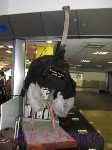 [South_Africa_JNB092.jpg]