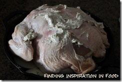 IMG_6363 IMG_6363