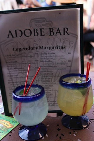 [IMG_0241Medium3.jpg]