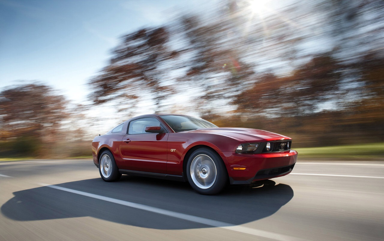[Mustang 02[3].jpg]