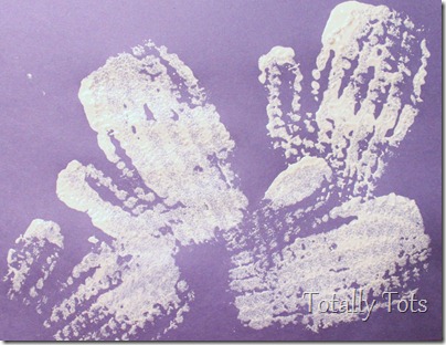 IMG_2852 IMG_2852