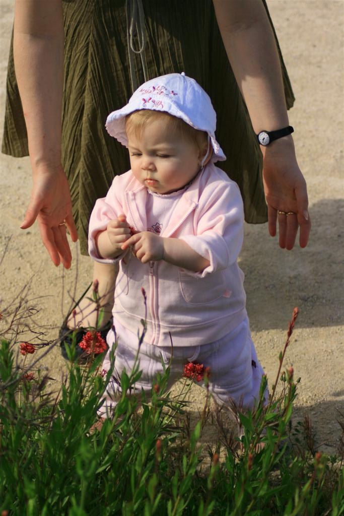 [_MG_1370 (Large)[3].jpg]
